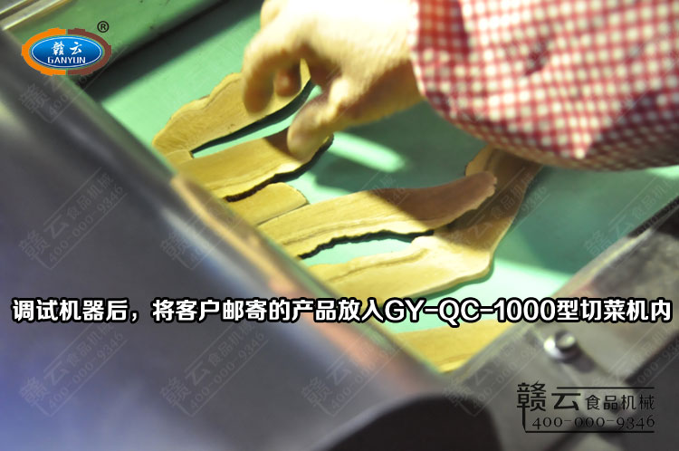 將靈芝片放入切菜機豎切入口內