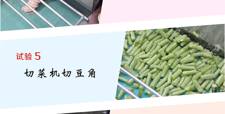 多功能切菜機應用效果圖9