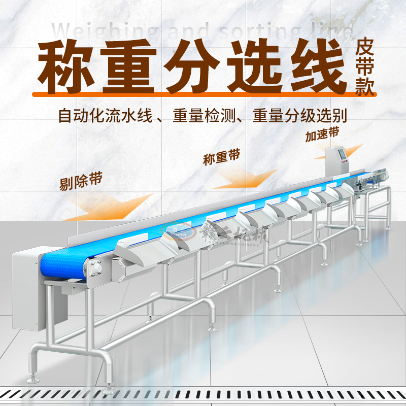 輸送式分選機 輸送式分選機