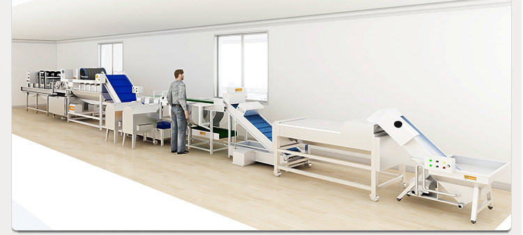 球根莖瓜果類菜處理流水線